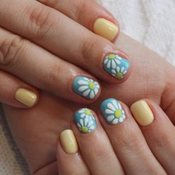 Camomiles on nails photo