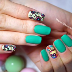 Celadon color nails photo