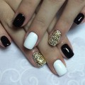 Shell polish nails 2016