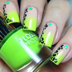 Light green french nails photo