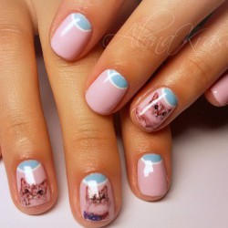 Nails with cats photo