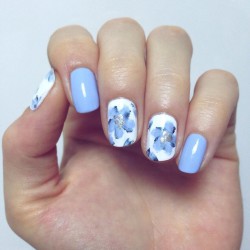 Blue flowers nail art photo