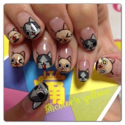 Manicure with kittens photo