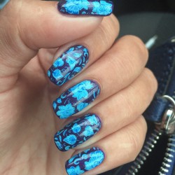 Blue manicure photo