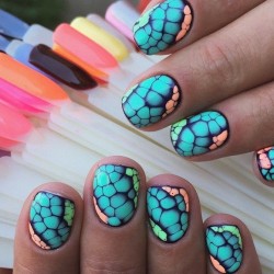 Sea nails photo