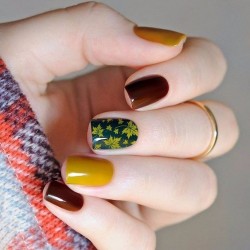 Autumn nail shellac photo