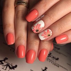 Coral and white nails photo