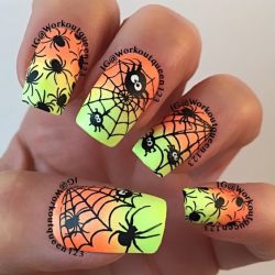 Spider nails photo
