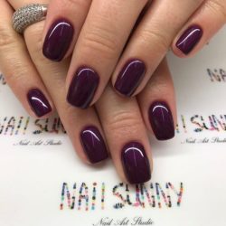 Shellac nails 2017 photo