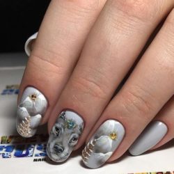Nails with animals photo