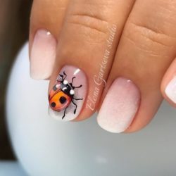 Nails with ladybug photo