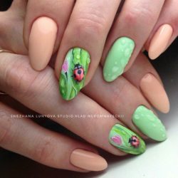 Nails with ladybug photo