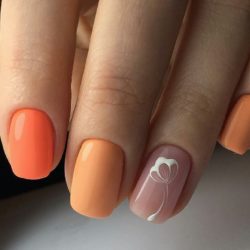 Matte nails with glossy pattern photo