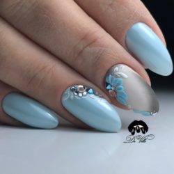 Velvet nails photo