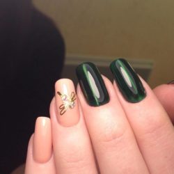 Cat nails photo