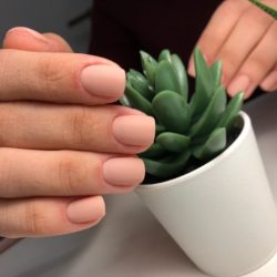 Delicate beige nails photo