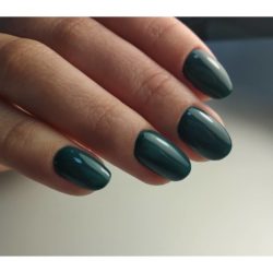Manicure with a dark shellac photo